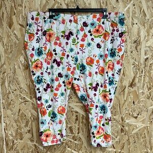 Terra & Sky 4X (28W/30W) Pants